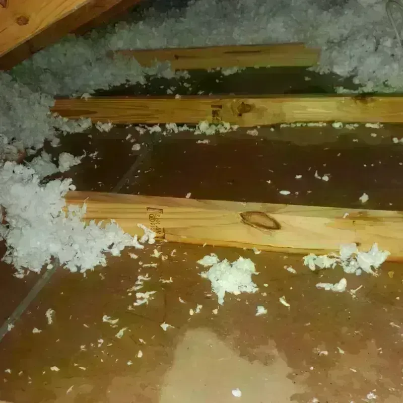 Attic Water Damage in South San Jose Hills, CA